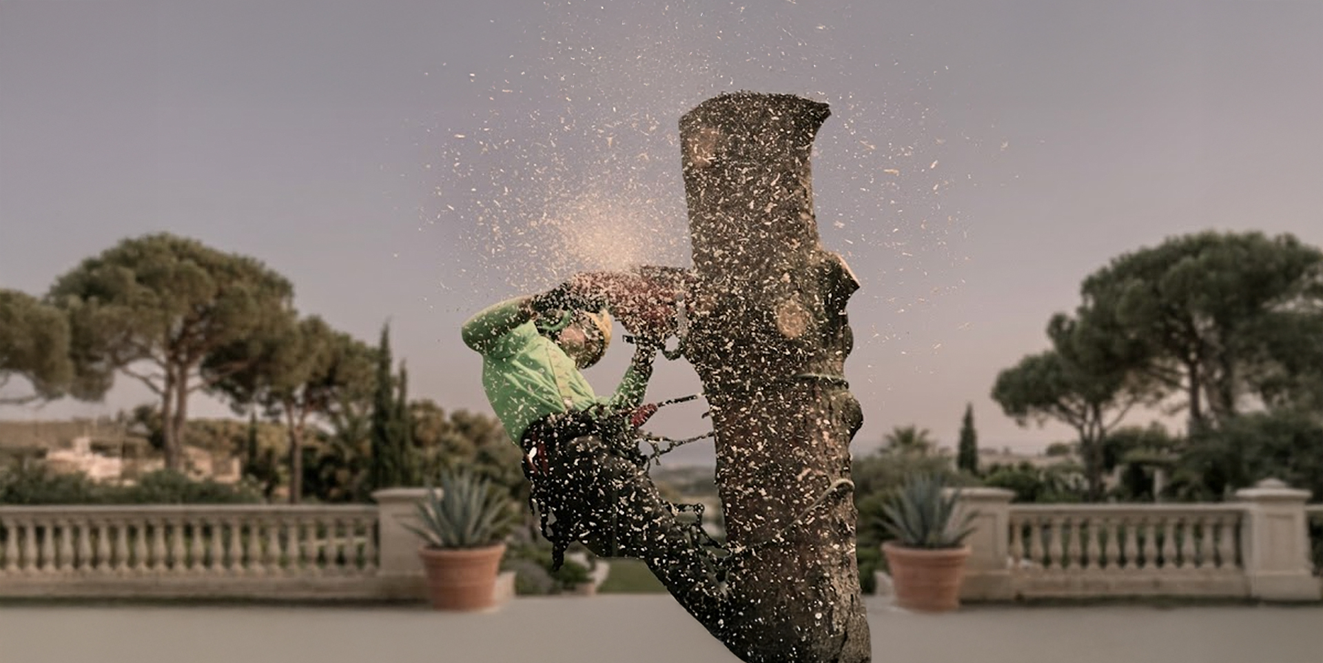 Poda de árboles en Mallorca
