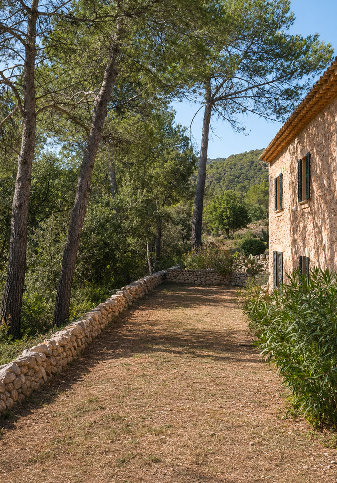 desbroce limpieza