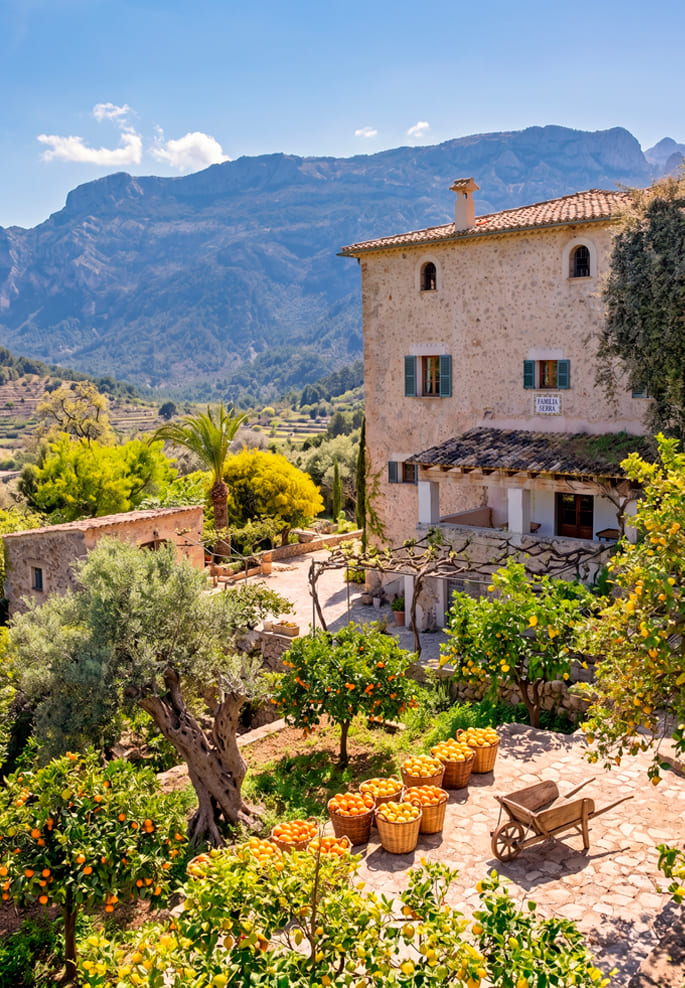 finca rustica cuidado distinto