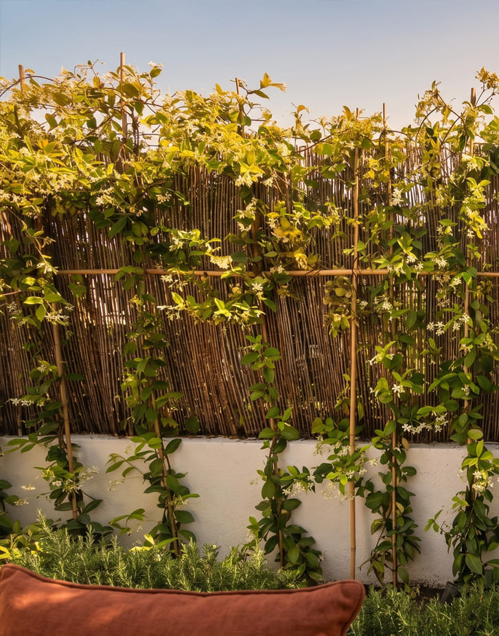Jardín vertical en oficinas en Palma
