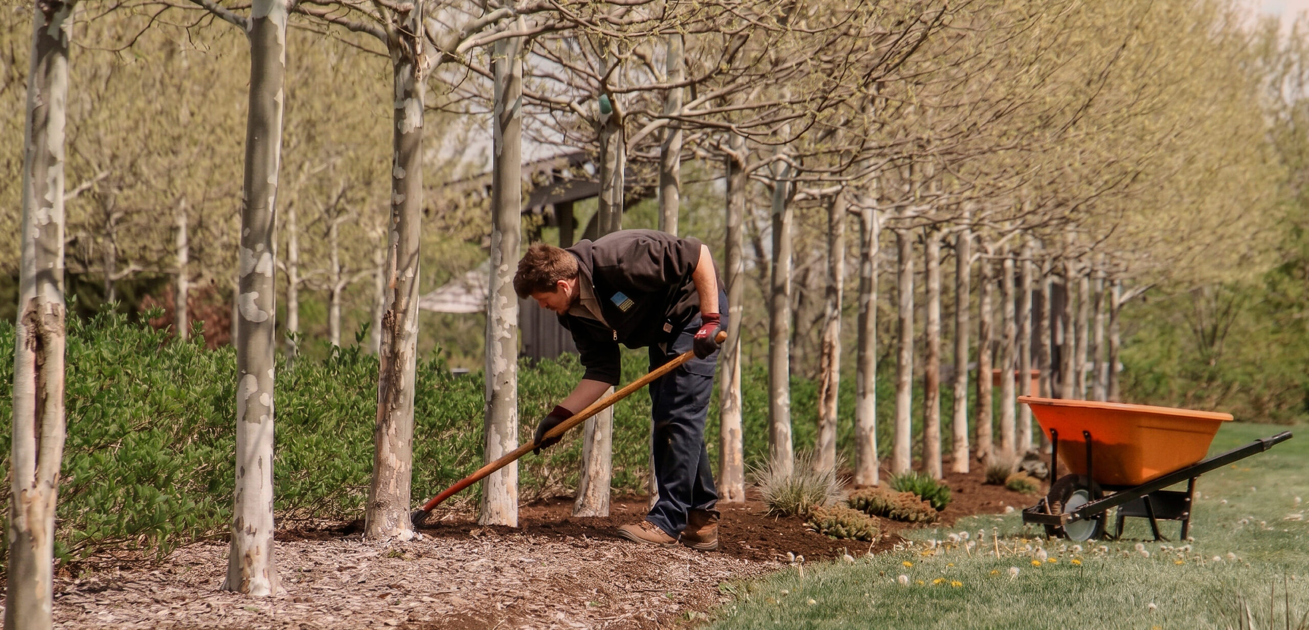 mantenimiento jardines mallorca