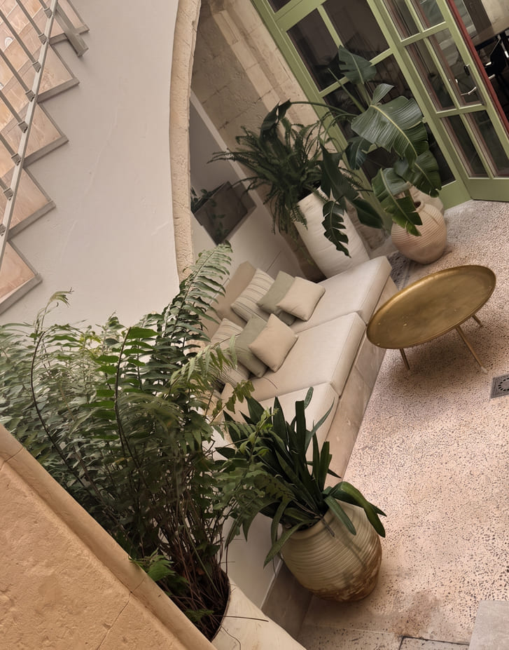 Mantenimiento de jardines en comunidad de propietarios en Mallorca