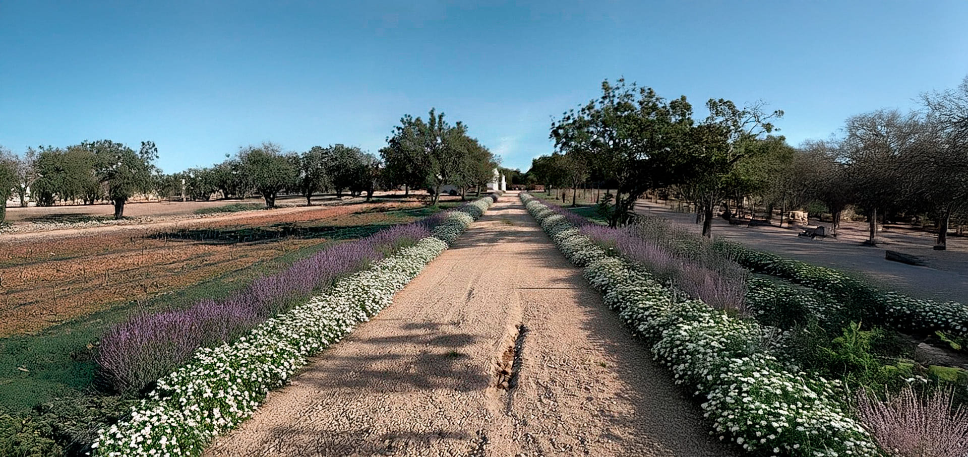 paisaje home jardineria amor