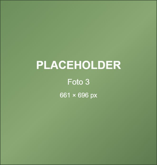 Imagen placeholder foto del proyecto poda de palmeras - pendiente de contenido real