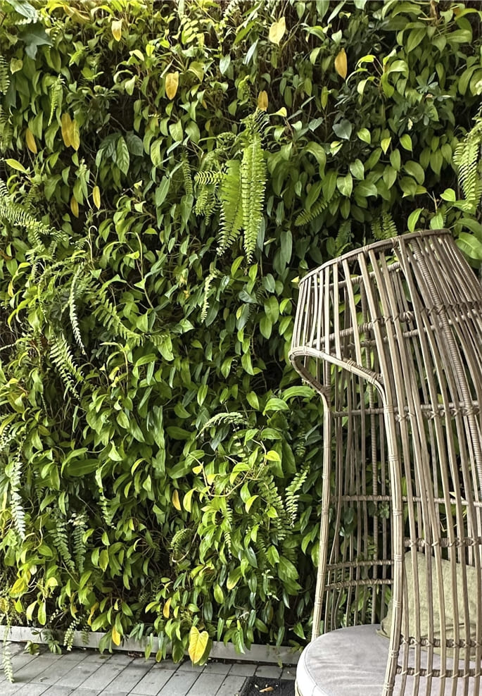 sostenibilidad y mantenimiento jardineria amor (1)